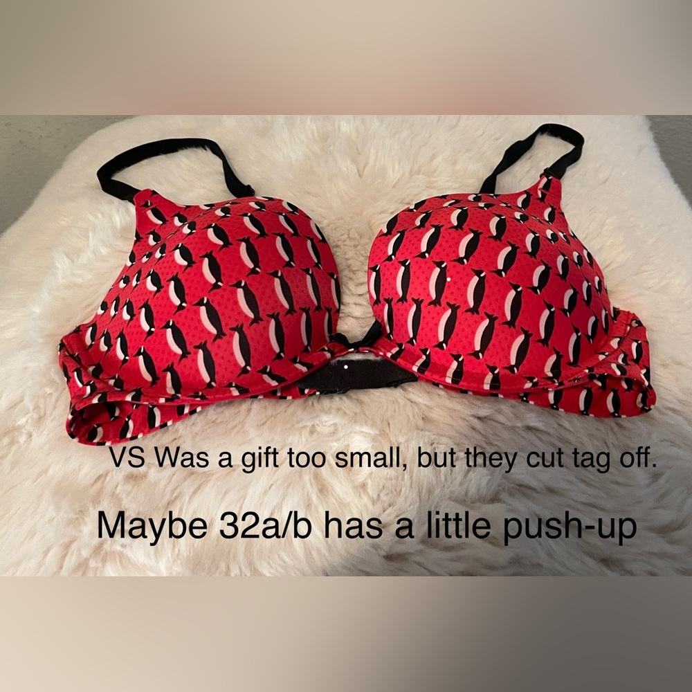 VS Penguin Bra